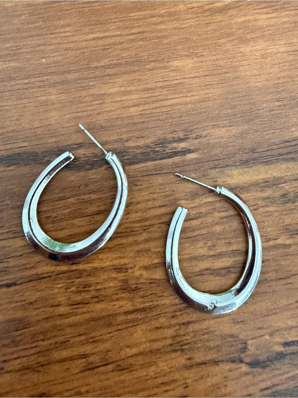 Silver Hoop Horseshoe Earrings - Women's Jewelry fashion